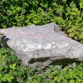 #05 Ecritures sur rochers – Naomi del VECCHIO – photo: ©H.Mariethoz